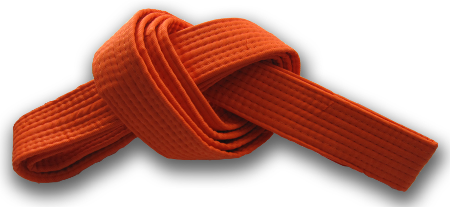 Six Sigma Orange Belt and Why You Need One – 6Sigma.com